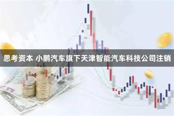 思考资本 小鹏汽车旗下天津智能汽车科技公司注销