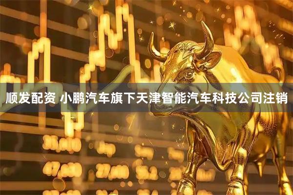 顺发配资 小鹏汽车旗下天津智能汽车科技公司注销