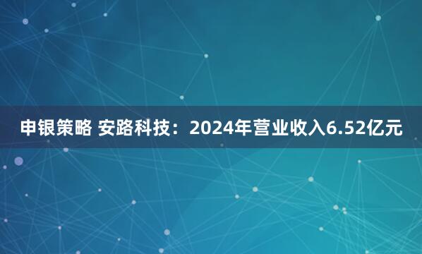 申银策略 安路科技：2024年营业收入6.52亿元
