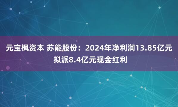 元宝枫资本 苏能股份：2024年净利润13.85亿元 拟派8.4亿元现金红利