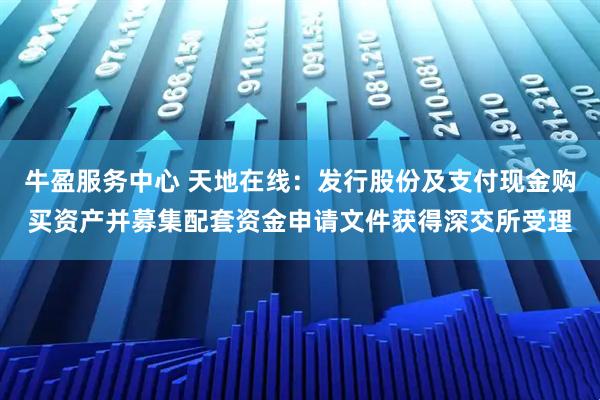 牛盈服务中心 天地在线：发行股份及支付现金购买资产并募集配套资金申请文件获得深交所受理