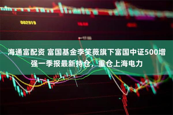 海通富配资 富国基金李笑薇旗下富国中证500增强一季报最新持仓，重仓上海电力