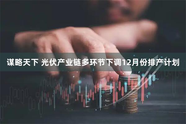 谋略天下 光伏产业链多环节下调12月份排产计划